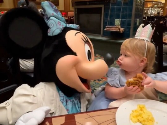 Welcome to the magical world...