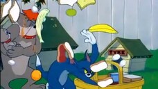 Tom and Jerry episode 91 - Pup on a Picnic (1955)