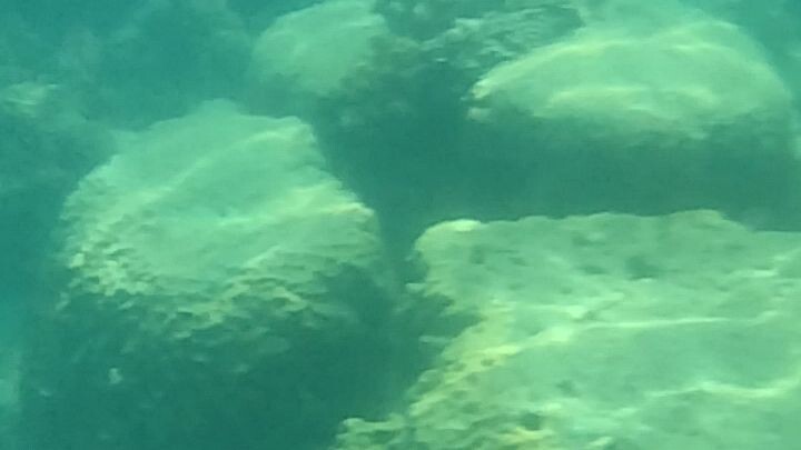 Matabungkay Beach ⛱️ 🌊 🌞 #vitaminsea