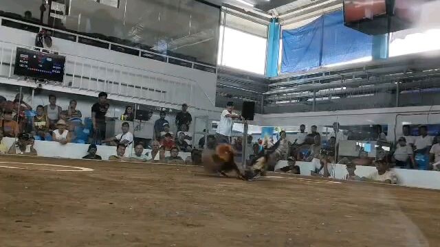 2hits ulutan @New Malvar Cockpit. December 21, 2025