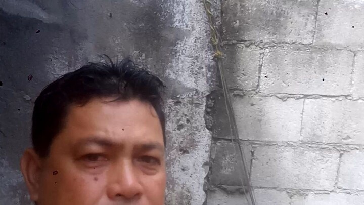 sabong win showtime