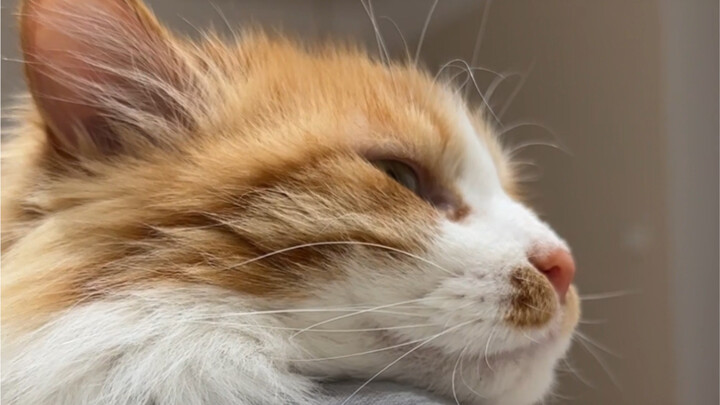 He actually demonstrated what he wanted to say to me all over again.