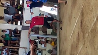 kanan sakin jan
