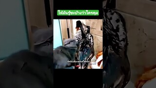 ให้มันรู้ซะบ้างว่าใครคุม