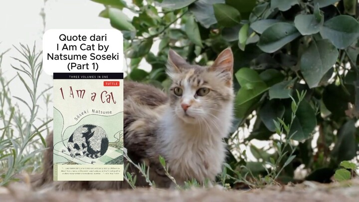 Quote dari I am Cat by Natsume Soseki (Part 1)