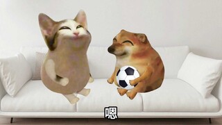 你只要记住一句话，吵架必赢