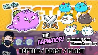 PAANO DURUGIN MGA AAP | REPTILE BEAST PLANT | AXIE INFINITY ARENA GAMEPLAY  | RBP