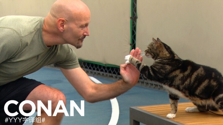 【Show Conan】Mèo đang học cách đập tay với người #Nhóm dịch YYY#