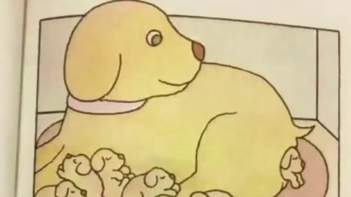 "Anak Anjing Terakhir: Dari Menunggu Hingga Menjadi yang Pertama"