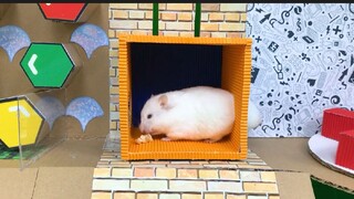 ภารกิจของหนูแฮมสเตอร์ EP 431