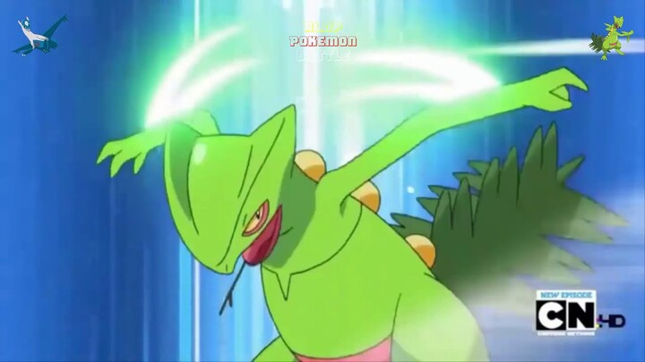 Latios VS Sceptile | Tournament Battle