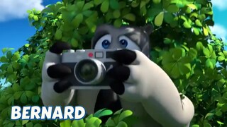 BERNARD BEAR || PHOTOGRAPER - CARTOON CHILDREN