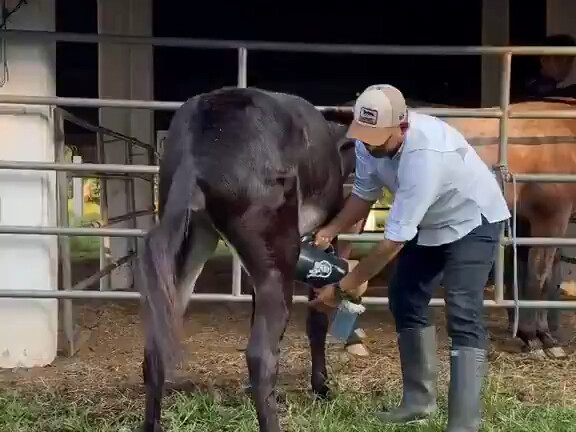 Who knew there were so many tiny bugs!