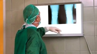 Can you believe that a 14-pound cat kicked its owner’s stomach open?