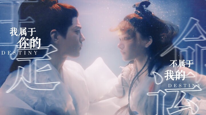 【The Longest Promise × Fate】Help! The perfect fit!! Geese, go buy the copyright for this song right 