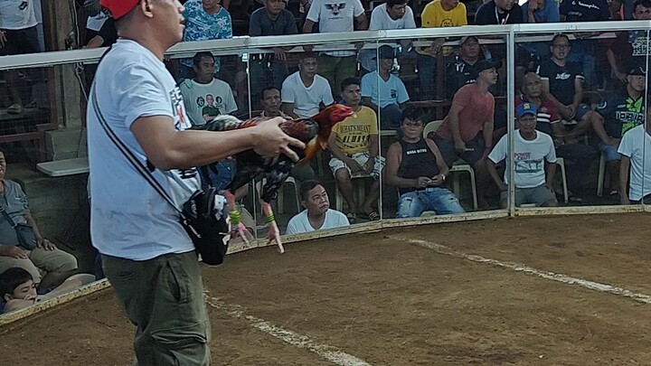 First Fight 3 Cock Derby Sweater (Win)