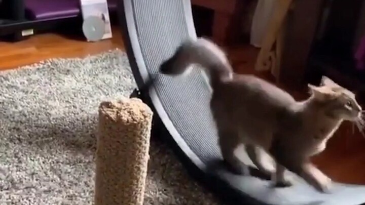 Selama aku tidak bangun, aku bisa mendapatkan pijat gratis seharian