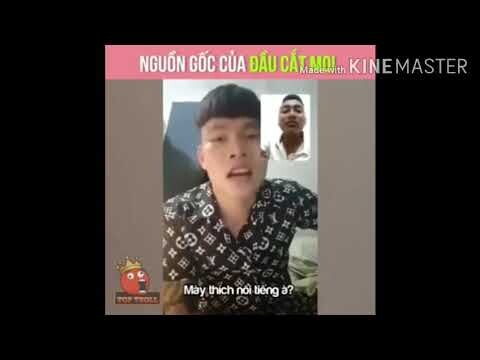 Đầu Cắt Moi | Vinas Remix ( Văn Tuân Edit)