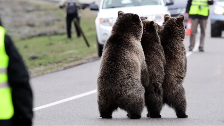 The alarm has sounded—everyone, stand up!
