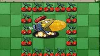 Baby Corn