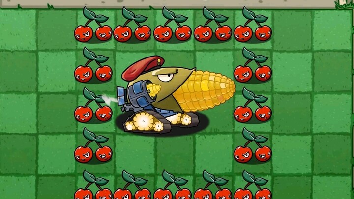 Baby Corn
