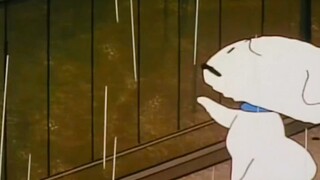 I'm a dog who knows how to express myself