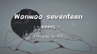 Jeon Wonwoo Seventeen - Knees (Original by IU)