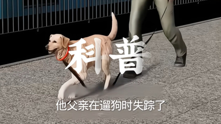 Dog-walking mishap leads to wrongful conviction and compensation for man #KnowledgePopularization #O