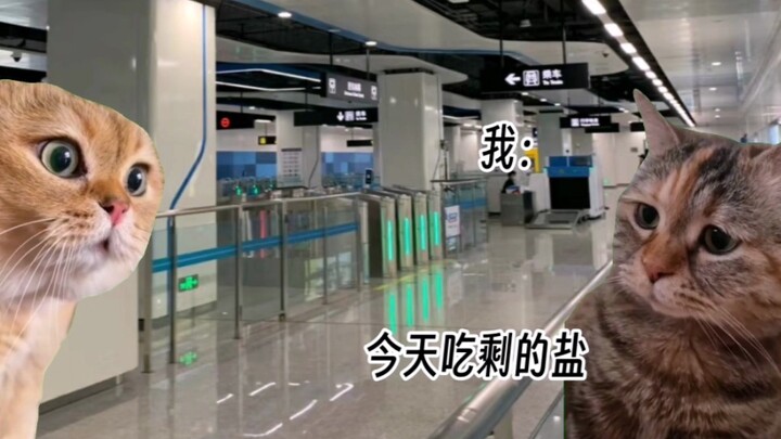 【ميم القط】 أُخذ على محمل الجد كتاجر مخدرات وكاد أن يُعتقل بعد أن حمل كيسًا من الملح في مترو الأنفاق