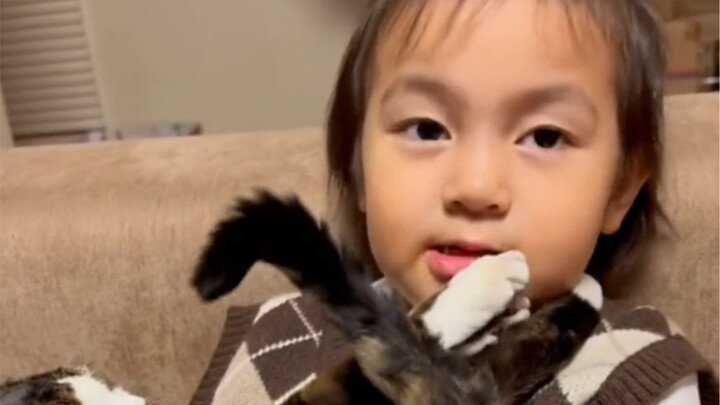 The Little Animals Hurt by Wheat Over the Years