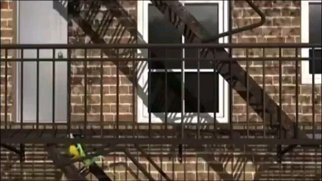 Bernard bear part 20