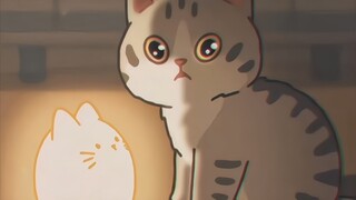 "Interesting cats to share with you"