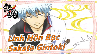 [Linh Hồn Bạc] Chúc mừng sinh nhật, Sakata Gintoki--- Tên quỷ nhỏ buồn bã trưởng thành