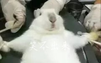 来点医学生笑话吧