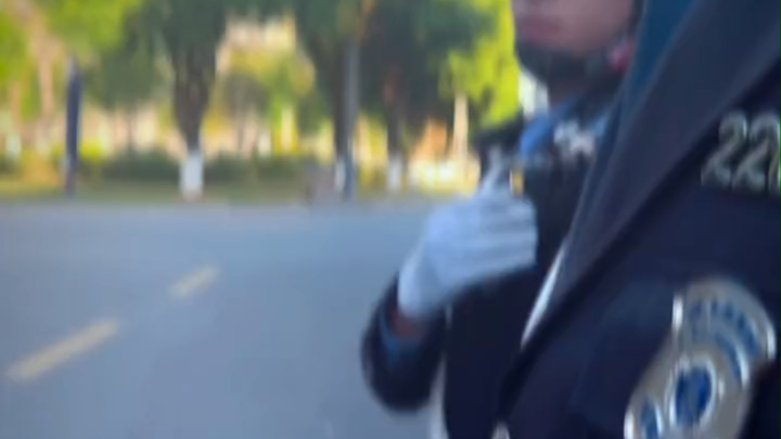 Bạn đang chơi một sản phẩm chính thức [doge] dừng thời gian rất mới đáng để thưởng thức