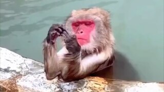 The elegant Lady 🤫