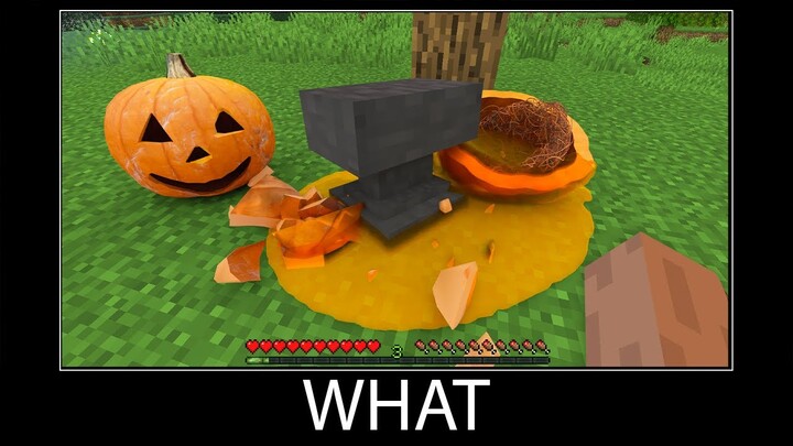 Minecraft wait what meme part 172 realistic minecraft pumpkin