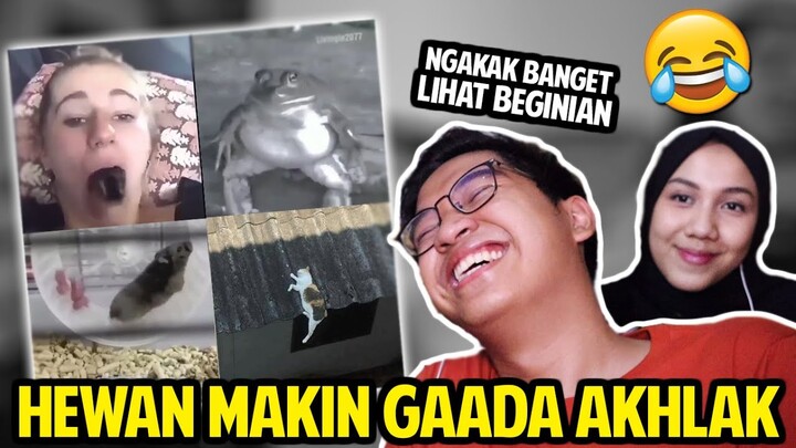 HEWAN-HEWAN MAKIN SINI MAKIN GAADA AKHLAK! SAMPE NGAKAK PARAH! REACTION VIDEO LUCU HEWAN!