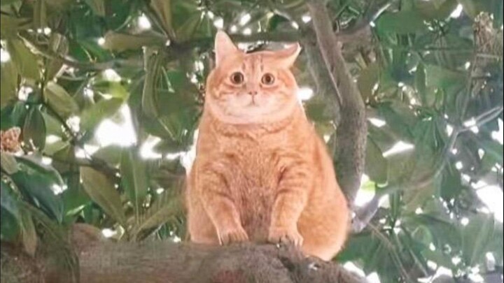 “Các người không trụ nổi đâu!!”⑦