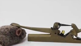 老鼠：你是李云龙吗？！#娱乐评论大赏