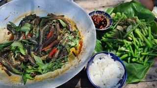 Hái đọt bí xào tỏi. Cá kèo kho rau răm. Cơm trưa rồi đi nướng gà - Bin Đen Miền Tây # 186