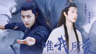 【羡忘双洁】缺爱摄政王婴×傀儡湛 唯我所爱 全一集