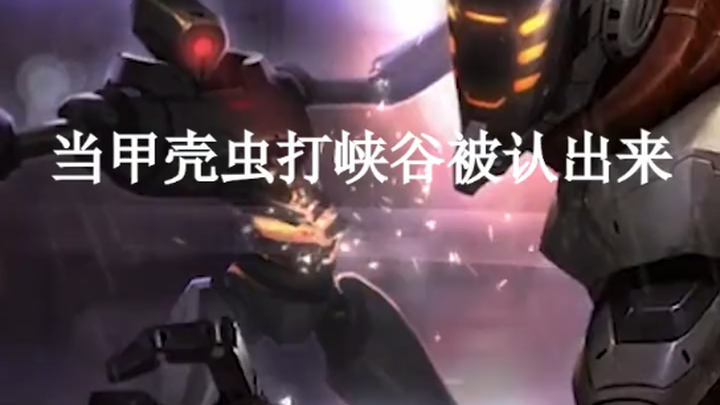 【King’s Sword Saint Beetle】 Fulfills all fan requests 🙄