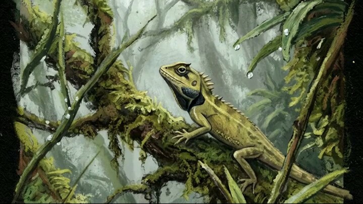 A New Mountain Dragon from Thailand ไทยเพิ่งมี “มังกร” ชนิดใหม่ของโลก