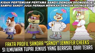 Fakta Profil SANDY CHEEKS: Si Ilmuwan Tupai Jenius yang berasal dari Texas | #spongebobpedia - 68