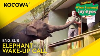This Hotel In Thailand Has An Elephant Wake-Up Call! | When I Opened My Eyes EP5 | KOCOWA+