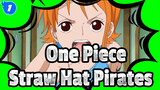 Seeing Straw Hat Pirates' Behavior, Do You Still Question Their Bouties?_1