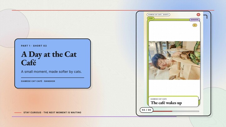 Siamese Cat Café #02 — A Day at the Cat Café + Opening Shift Cat Edition