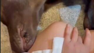 الكلاسيكي الذي لا يمكن تجاوزه [51]