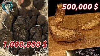 Trở Thành Tỷ Phú Chỉ Nhờ Bán "Cứt" | Trầm Trồ 9 Cục "Cứt" Đắt Đỏ Nhất Thế Giới - Top Hay Ho